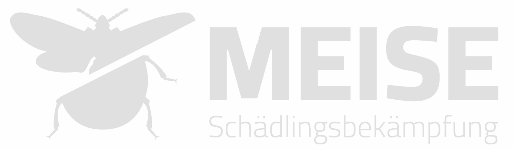 MEISE-Logo-grau.png